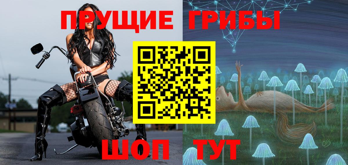 Псилоцибиновые грибы Cubensis Десногорск